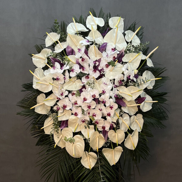 Rose - Image 2