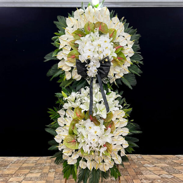Green Anthurium - Image 2