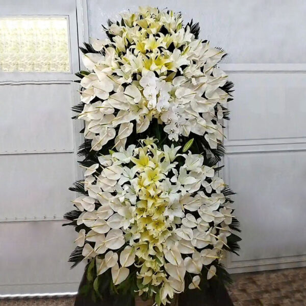 Yellow Anthurium - Image 2