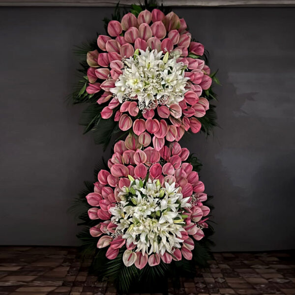 Pink Anthurium